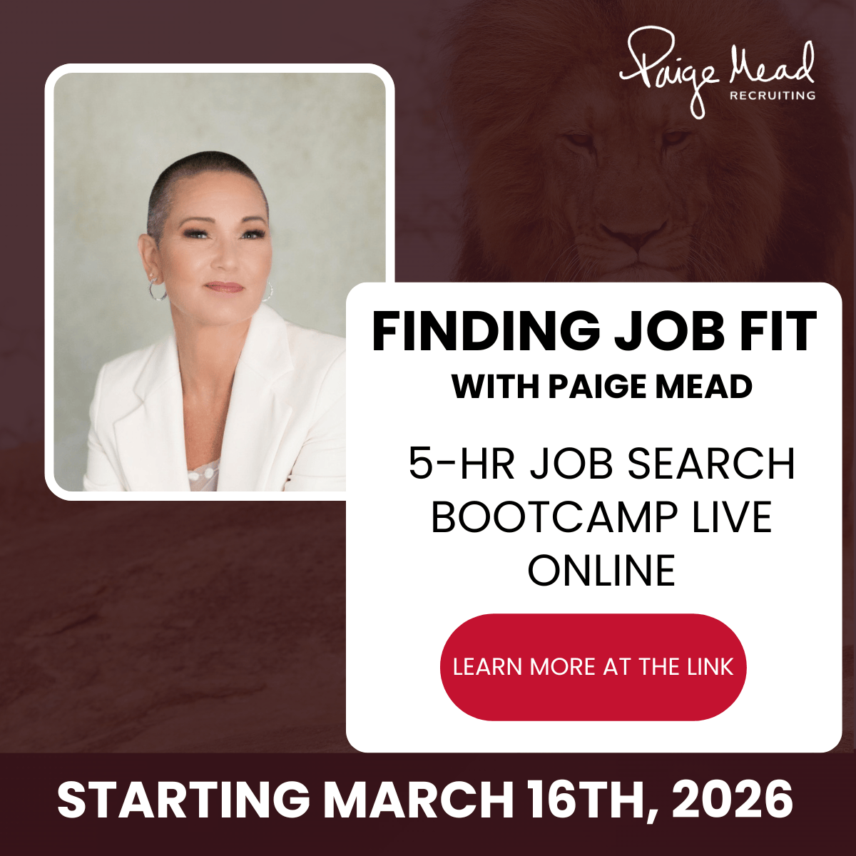 Finding Job Fit — 5-Hour Job Search Bootcamp Live Online with Paige Mead, Starting March 16th, 2026